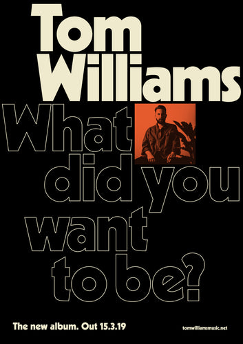 What Did You Want To Be? A1 Album Poster